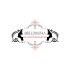 Bellissima Hair Extensions